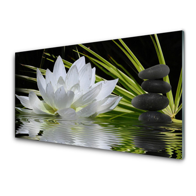 water-lily-bloemen