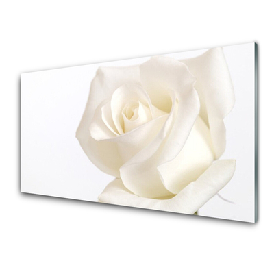 rose-bloemen