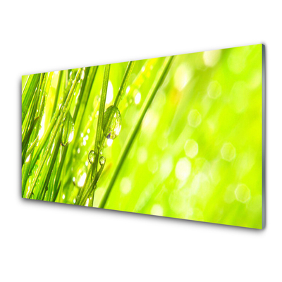 natuur-druppels-gras